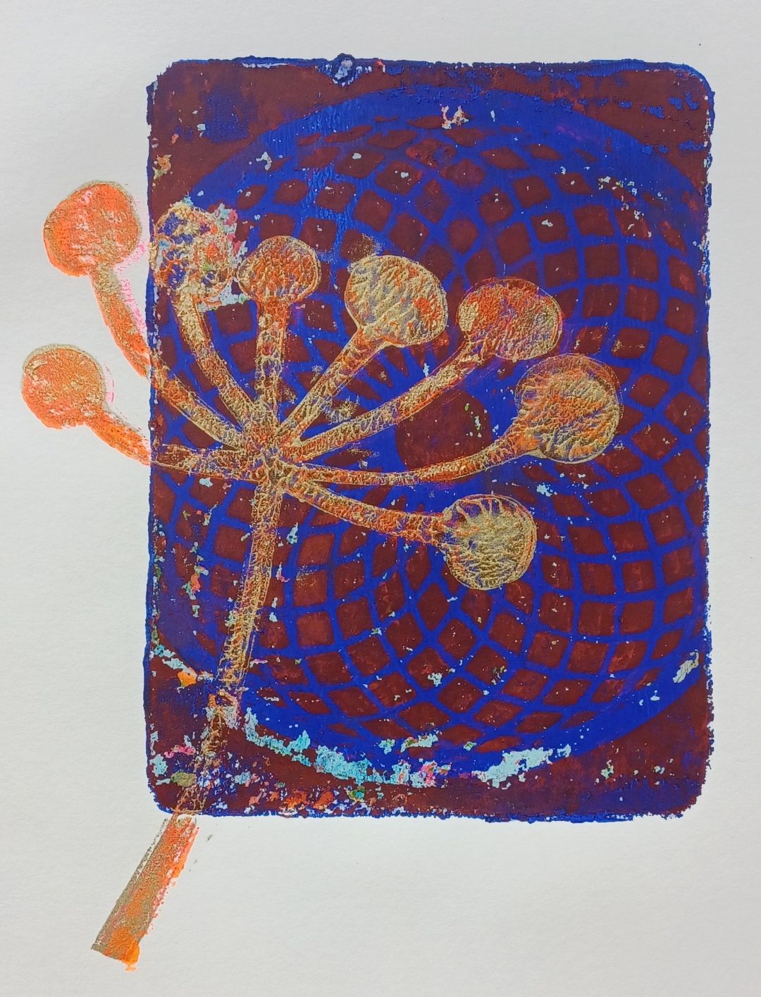 Beispiel eines Gelprints Beispiel eines Gelprints